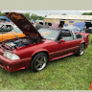 Meet your Posher, Bobby